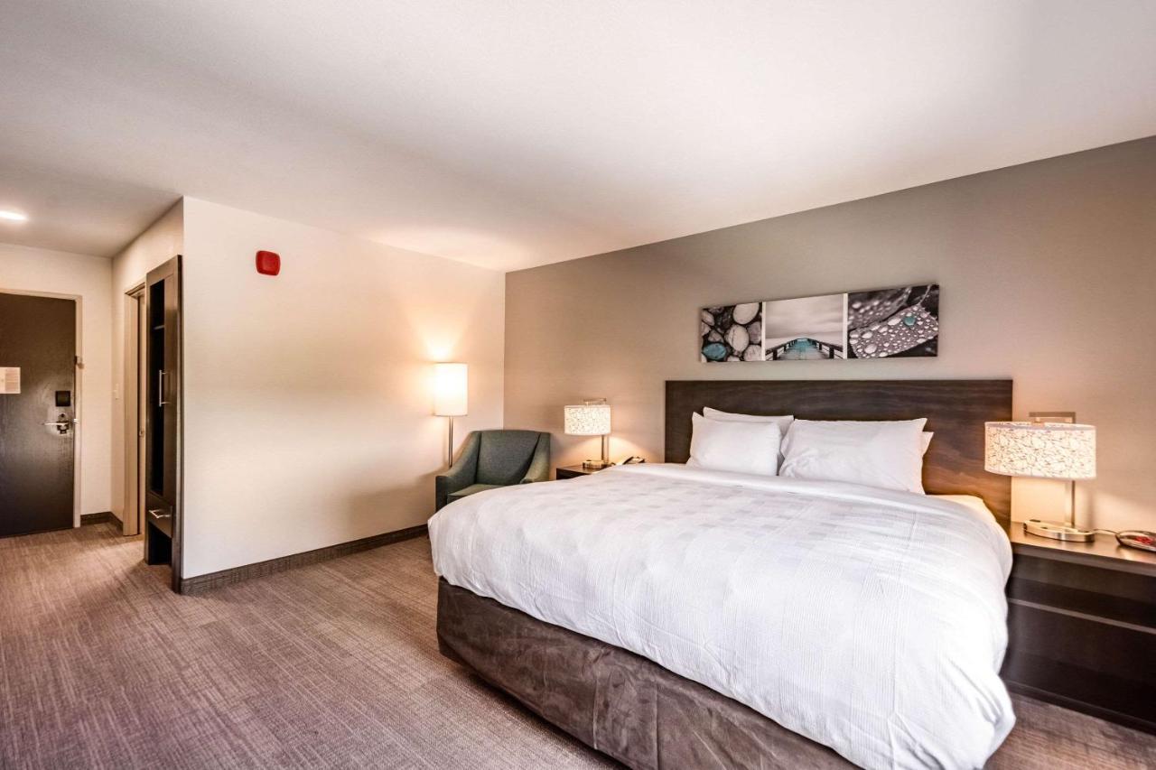 Fruitville Mainstay Suites Sarasota I-75 מראה חיצוני תמונה